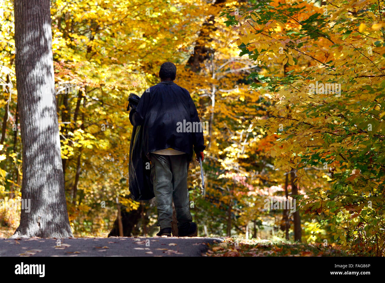 Mann zu Fuß auf Trail Tibbetts Brook Park Yonkers New York Stockfoto