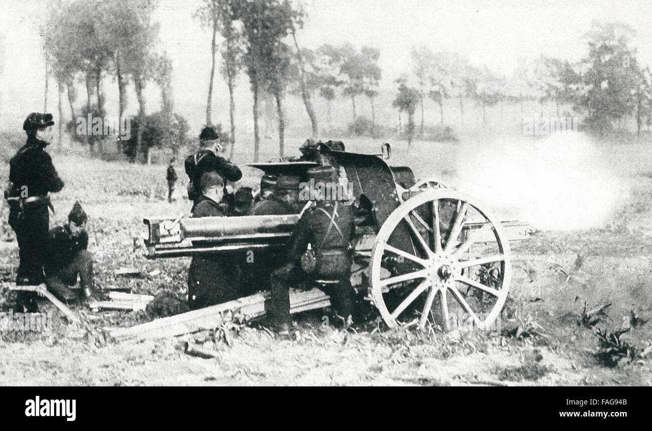 Belgische "Gunners" und Feldgeschütz in Aktion auf der Schusslinie zwischen Termond und St. Giles, Belgien, Weltkrieg Stockfoto