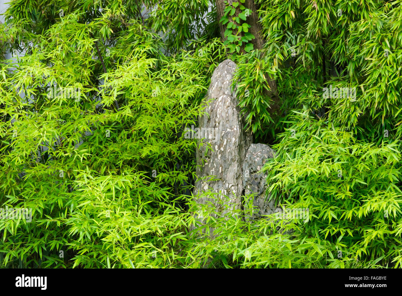 Steingarten im Yu Garten, Shanghai, China Stockfoto