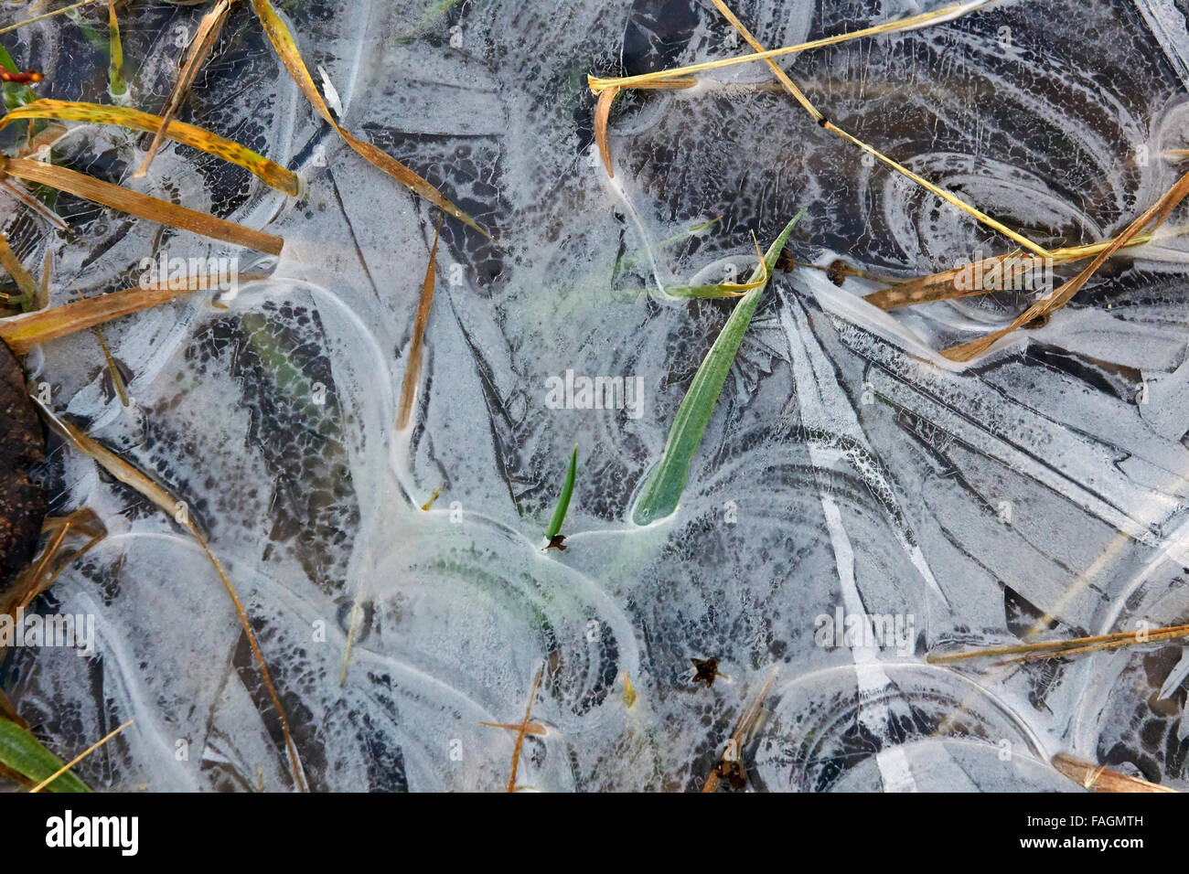 gefrorene Pfütze am Boden Stockfoto