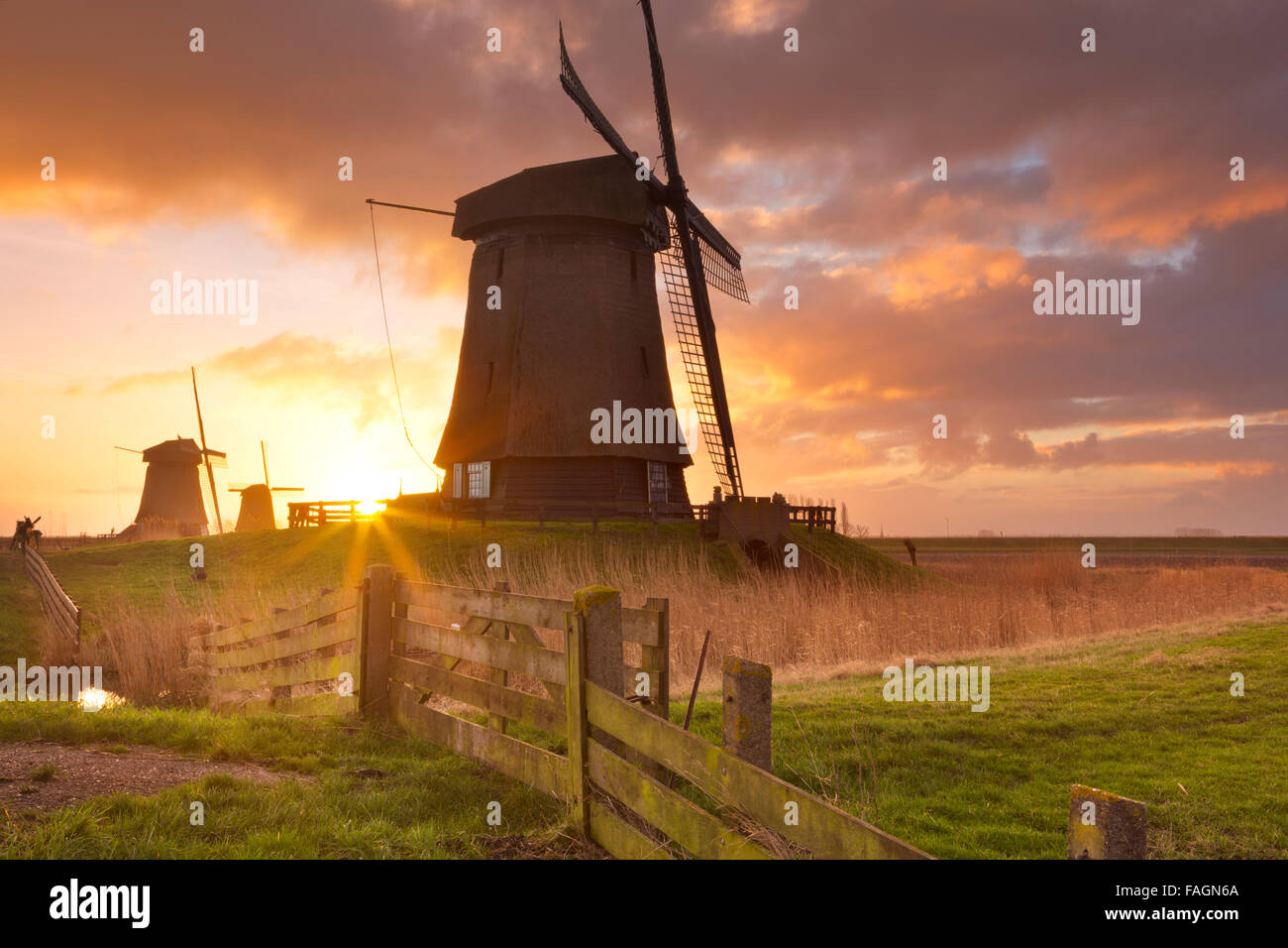 Traditionelle holländische Windmühlen bei Sonnenaufgang in der Nähe von Schermerhorn in den Niederlanden. Stockfoto