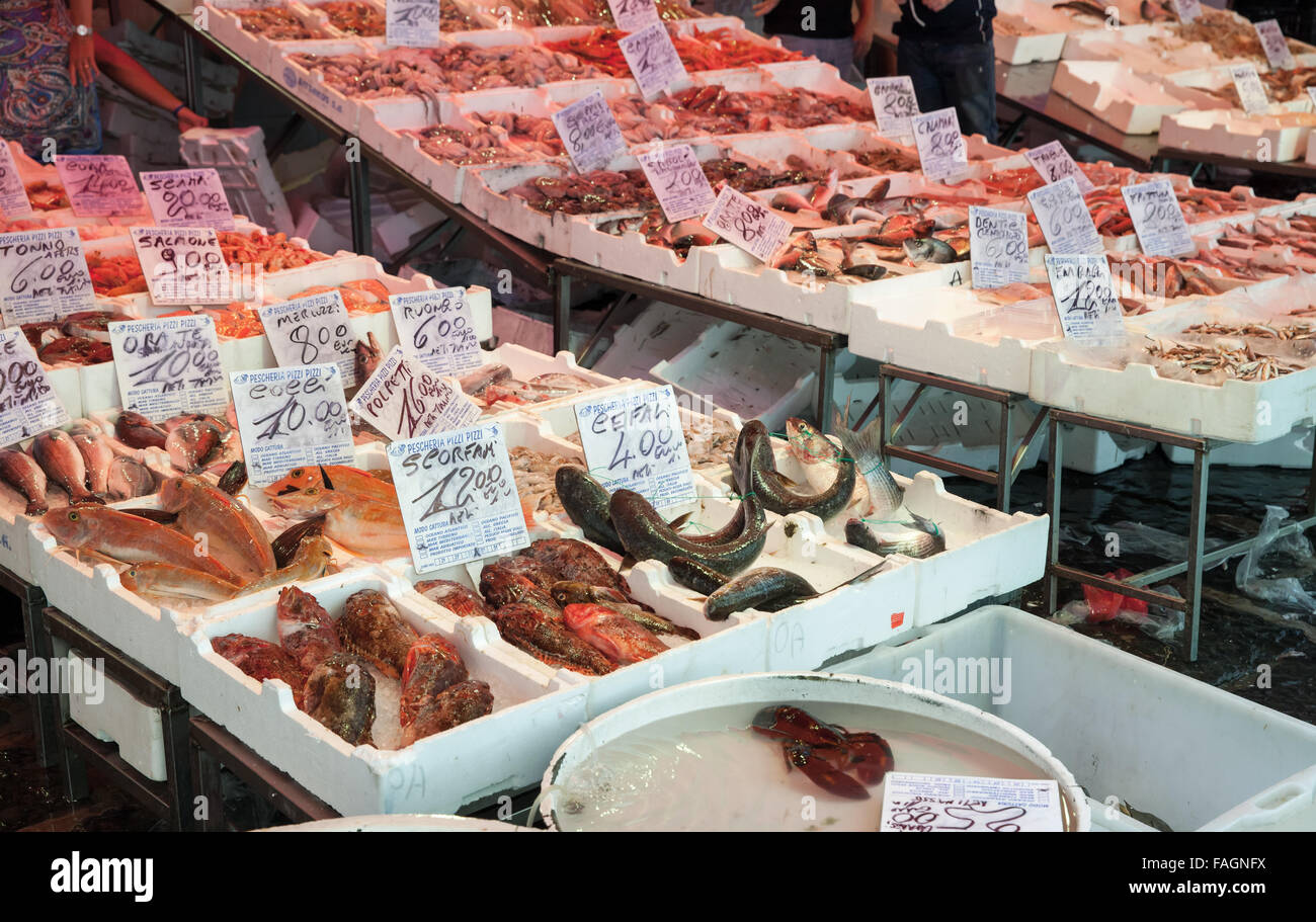 Neapel, Italien - 9. August 2015: Legen Sie verschiedene Arten von Fisch und Meeresfrüchten auf den Schaltern der Straße Marktplatz in Neapel, Italien Stockfoto