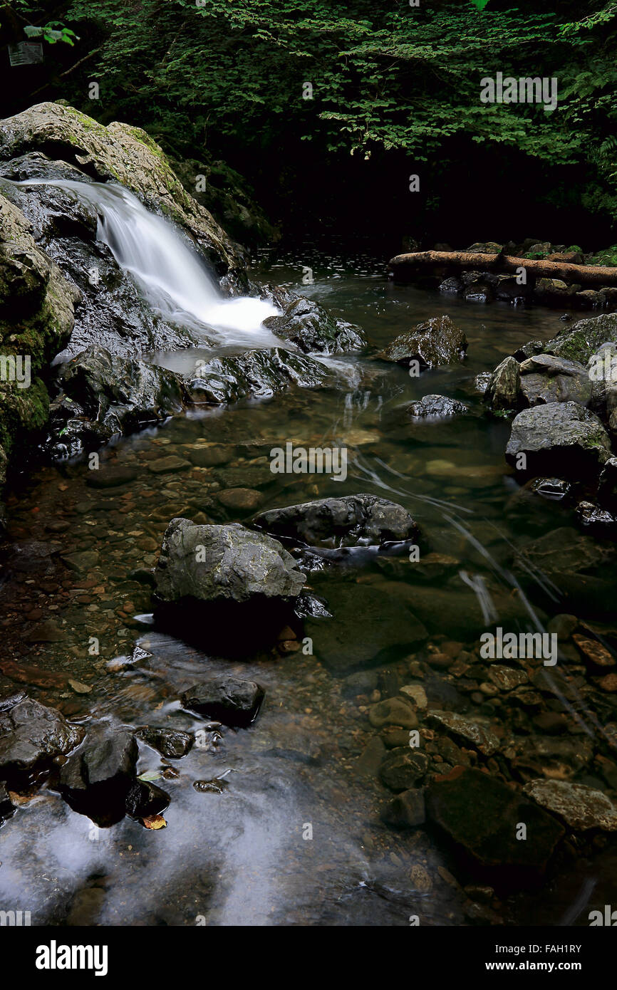 Kleiner Wasserfall und schroffen Felsen und Pools in der Sonne Stockfoto