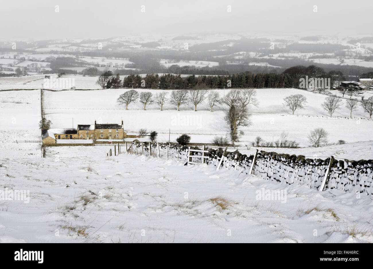 Northumberland Winter Stockfoto