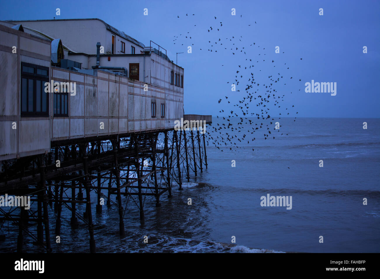 Aberystwyth, Wales, UK. 30. Dezember 2015. UK-Wetter: Eine Pause im Sturm Frank Aberystwyth, Wales, UK 20. Dezember 2015. Pepole nützen die Zeit zwar gibt es eine Pause in der Regenguss haben wir fast den ganzen Tag mit Sturm Frank durchlaufen hatten. Die Stare gehen gerade für ihren Sitzstangen heute Abend ohne Display. Bildnachweis: Trebuchet Fotografie/Alamy Live-Nachrichten Stockfoto