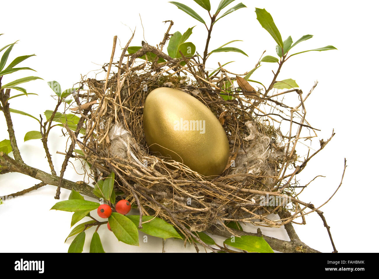 Gold-Ei im Nest des Vogels Stockfoto