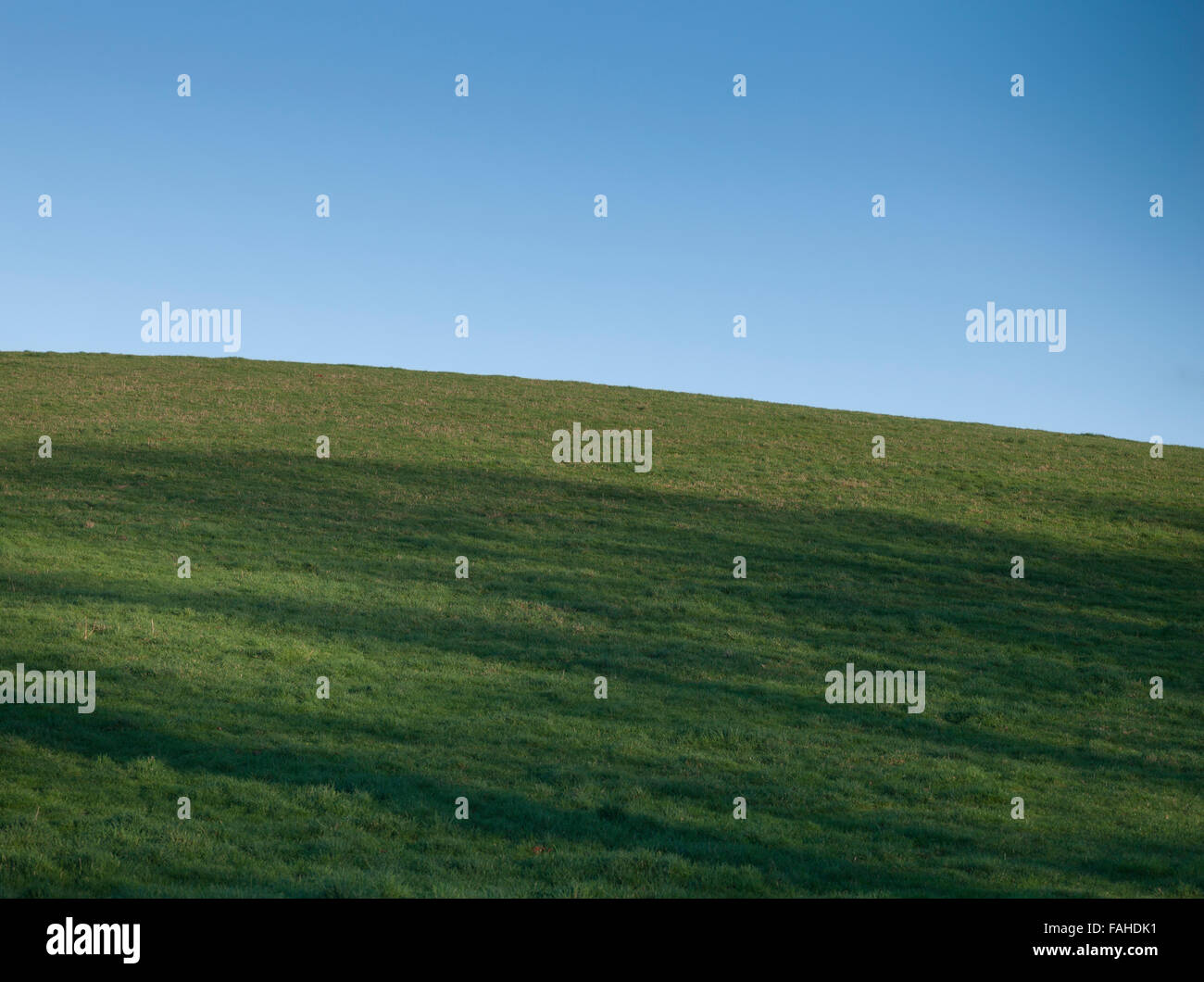 Grüne Wiese mit blauem Himmel in der englischen Landschaft Stockfoto