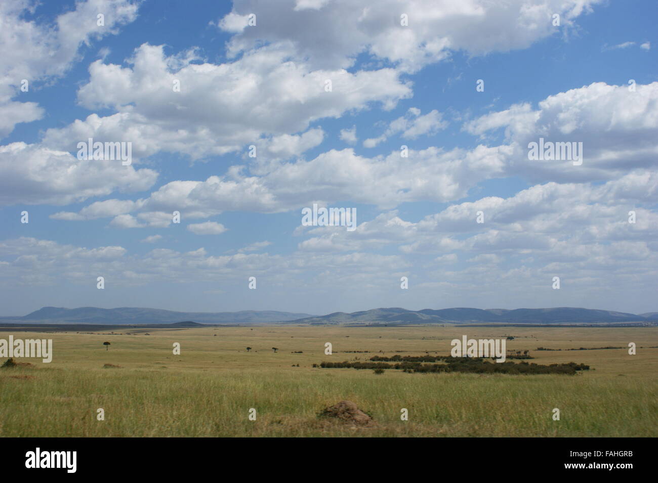 Wolken über die Masai Mara. Masai Mara Reserve, nördliche Serengeti Plains, Kenia, Ostafrika Stockfoto