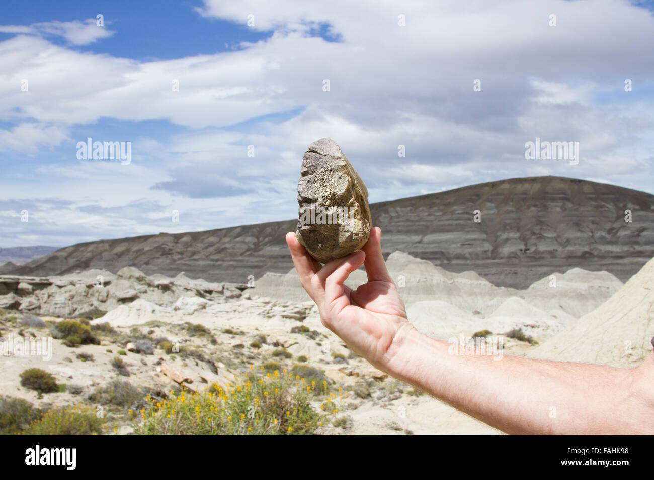 Hand hält Fragment der Dinosaurier-Knochen in La Leona Petrified Forest, Patagonien, Argentinien. Stockfoto