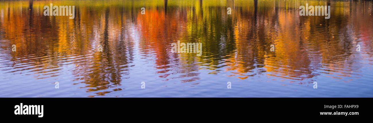 Bunter Herbst von Bäumen gesäumten Wasserspiegelungen. Julia Davis Park Teich, Boise River Greenbelt, Boise, Idaho, Usa Stockfoto