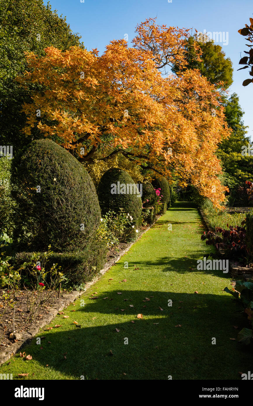 Die gerichte holt Fotos und Bildmaterial in hoher Auflösung Alamy