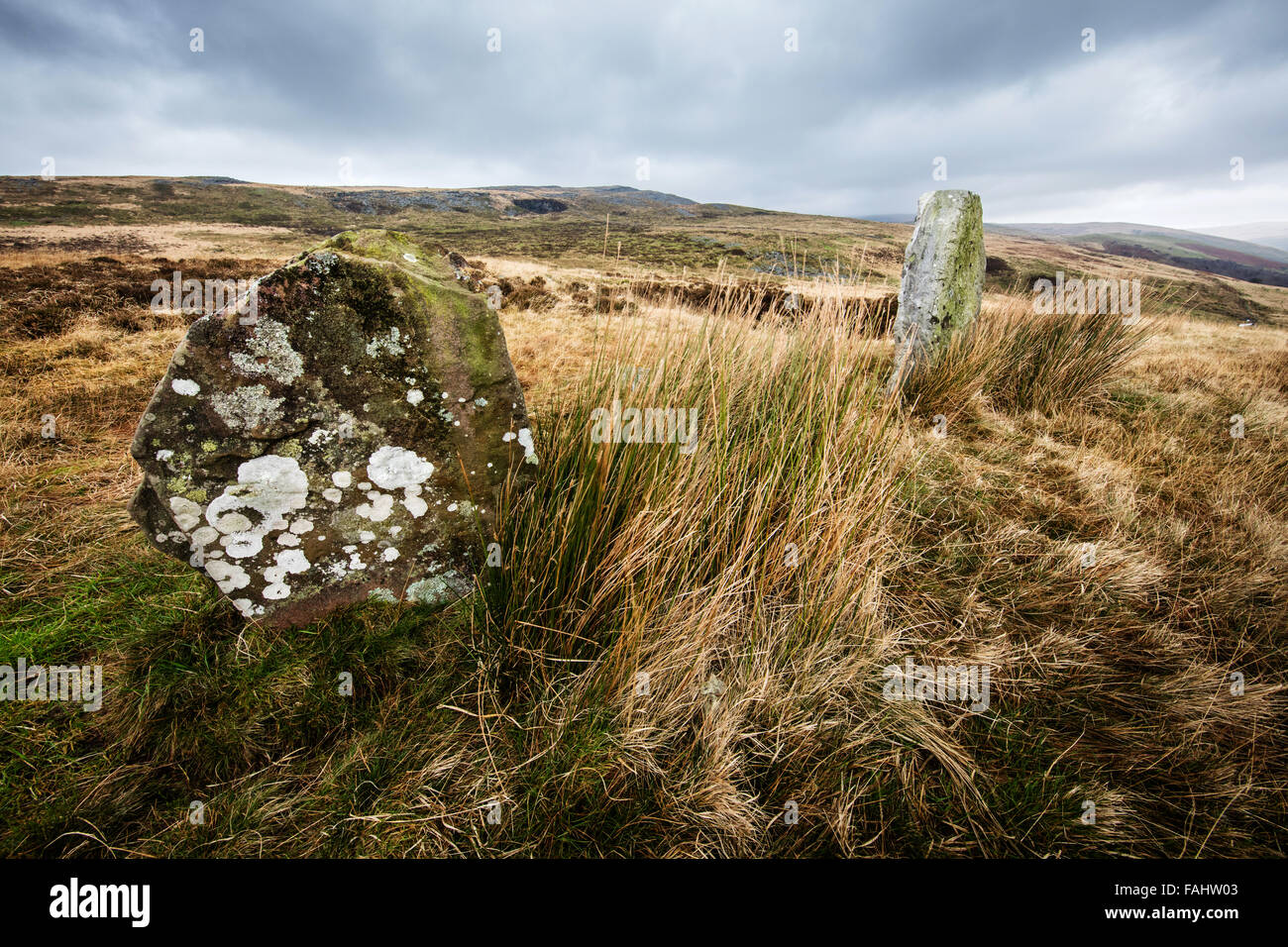 Spricht Maen Stein Zeile auf Moorland oberhalb Glyntawe in Swansea Tal Brecon Beacons South Wales Großbritannien Stockfoto