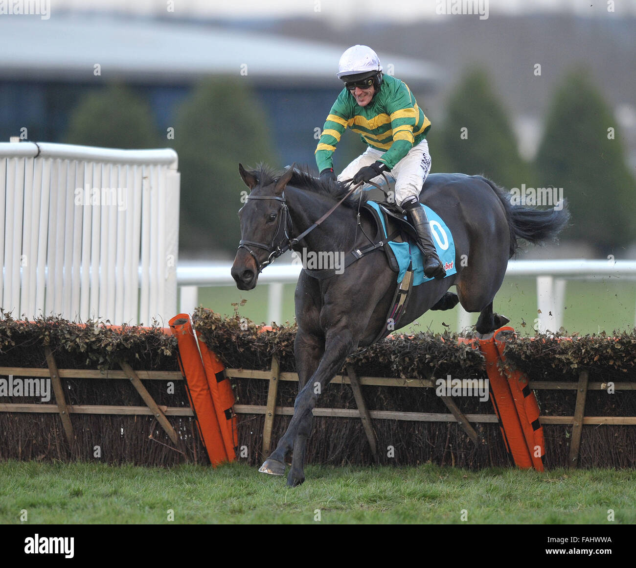 Sprung Jockey AP McCoy wird ein Ritter in New Years-Ehrenliste 2016 für Dienstleistungen auf Pferderennen Stockfoto