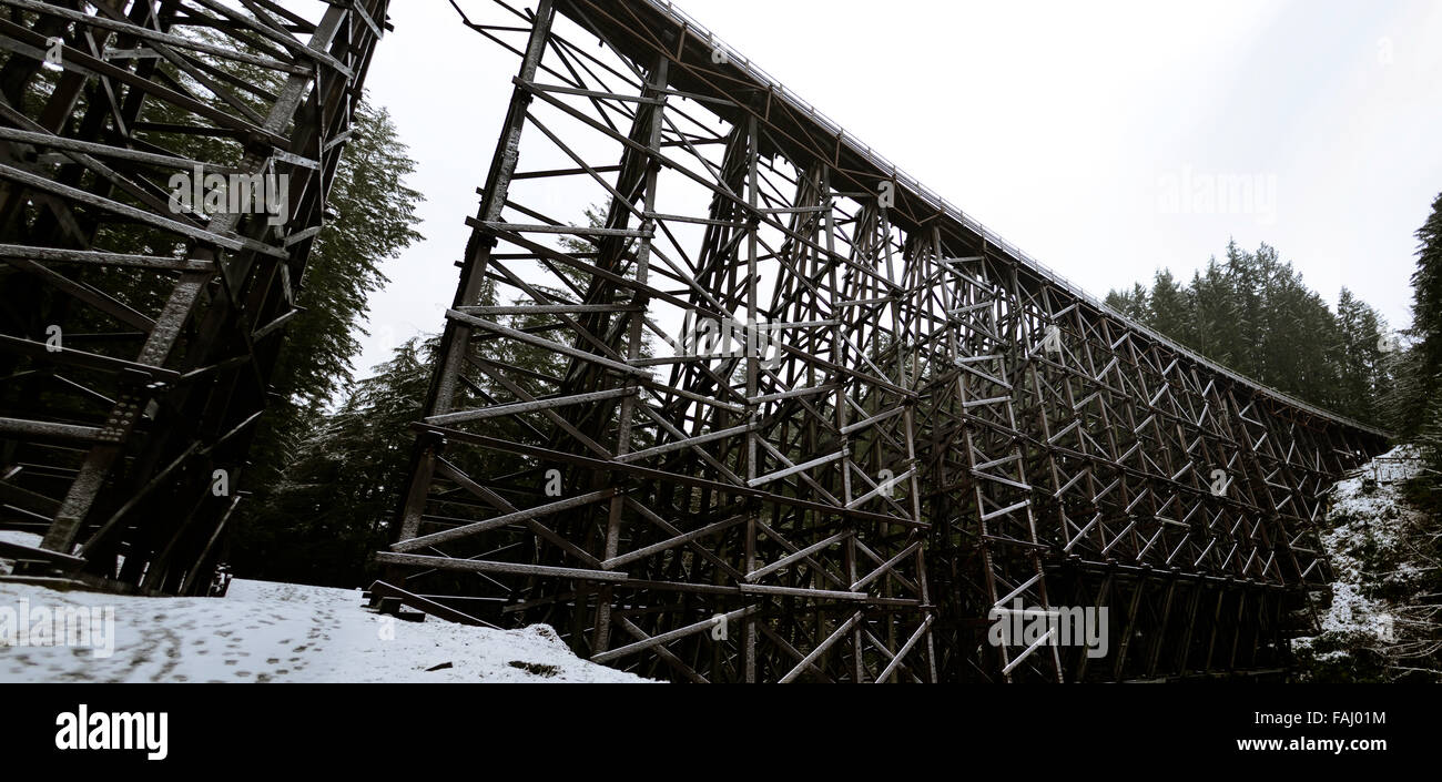 Kinsol Trestle Panoramablick auf Vancouver Island, Kanada Stockfoto