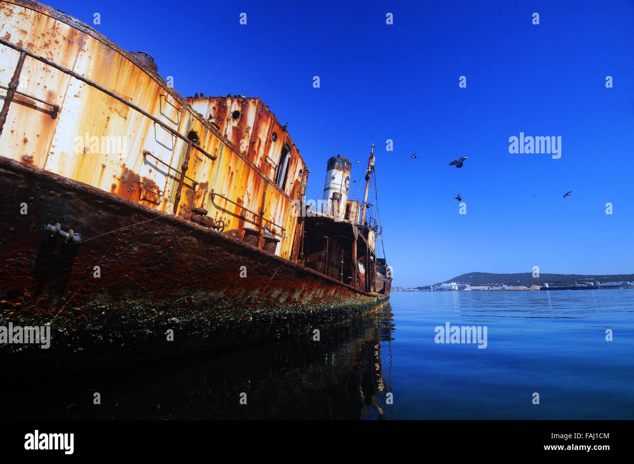 Wrack der Wal Jagd Schiff Cheynes II in Princess Royal Harbour, Albany, Western Australia Stockfoto