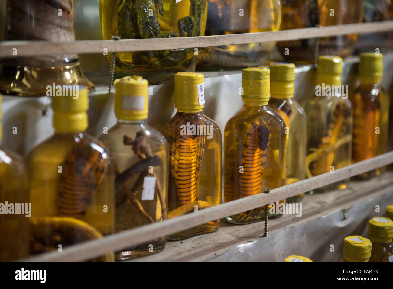 Alkoholische Getränke mit Schlangen und Frösche in der Flasche auf einem Markt in Thi Trang Cai Be, Vietnam verkauft. Diese Getränke in Stockfoto