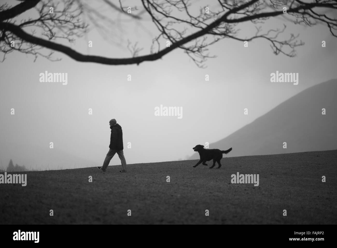 Spaziergang mit dem Hund, Keswick Stockfoto