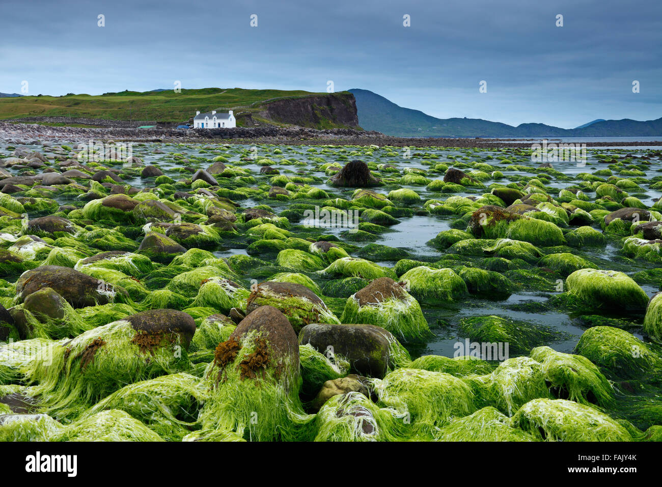 Ferienhaus Am Strand Von Waterville Iveragh Halbinsel County Kerry Irland Stockfotografie Alamy