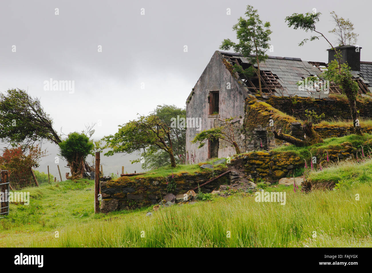 Alte verlassene Hütte in den Bergen von Iveragh-Halbinsel, Co. Kerry, Irland Stockfoto