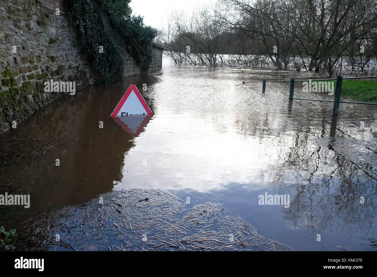 Hereford, Herefordshire, England 31. Dezember 2015 - hat die Umweltagentur eine Flut Flusses Wye im Bereich Hereford ausgeschrieben. Ein Monats nach starken Regenfällen entlang des Flusses Wye stromaufwärts in Wales erhöhte Pegelstände der Flüsse entlang des Flussufers. Stockfoto