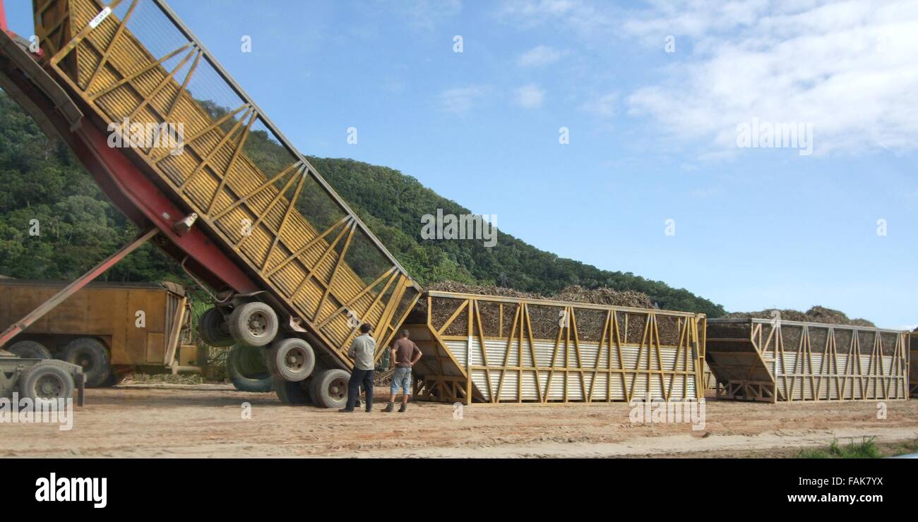 QUEENSLAND, Australien, 28. JULI 2008: Drei schwere Container entladen von großen Lastwagen in ländlichen Queensland, Australien 28. Juli 2008 Stockfoto