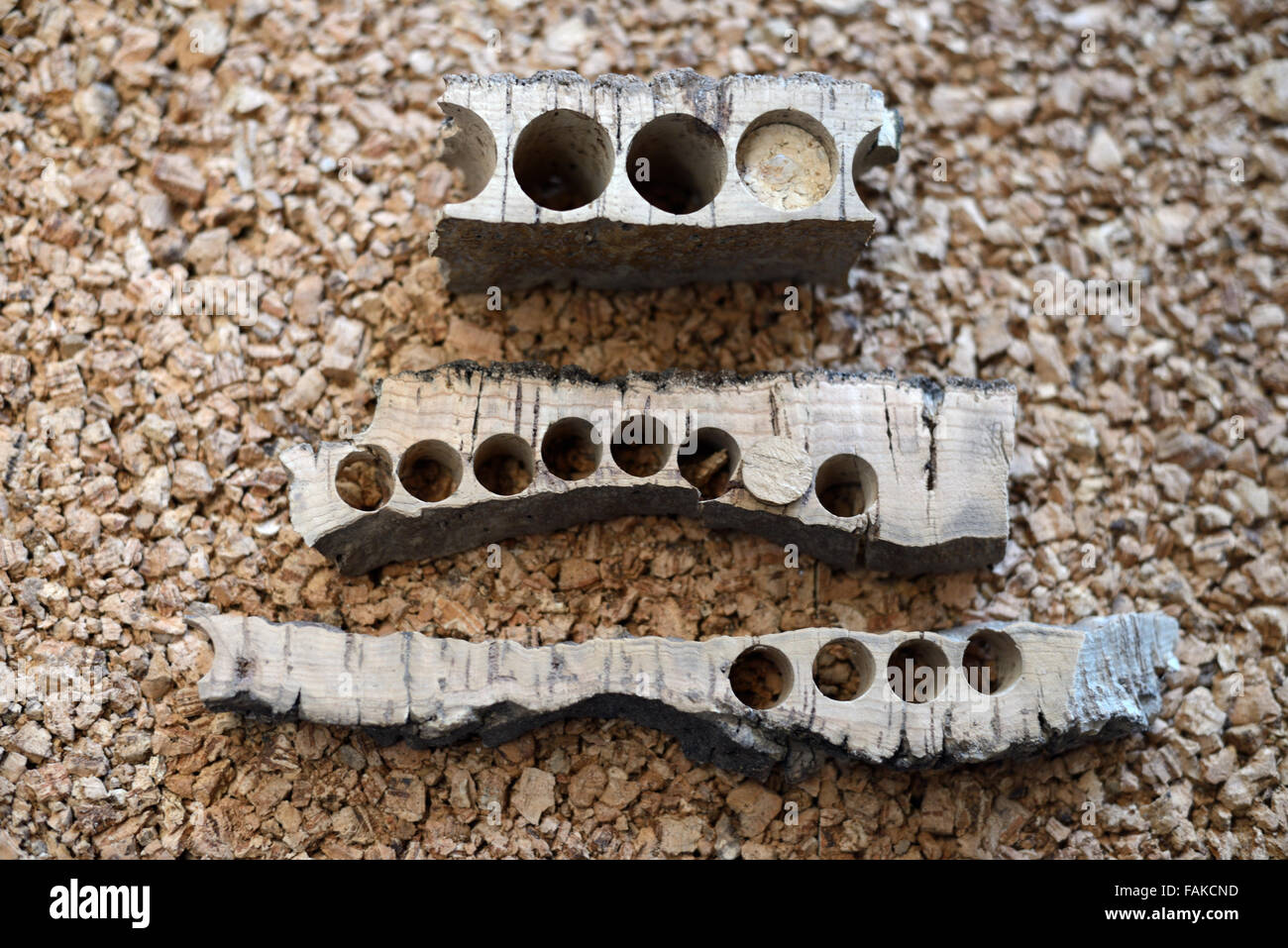Flasche Korken aus natürlichen Korkeiche Rindenstückchen geschnitten Stockfoto
