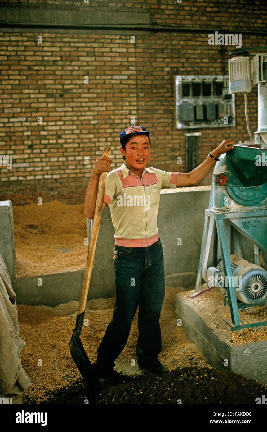 Milchviehbetrieb Arbeiter, Baotou in der autonomen Region Innere Mongolei des nördlichen China Stockfoto