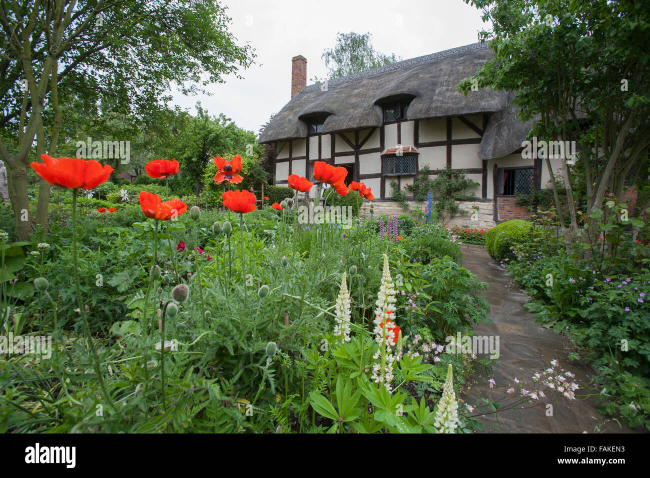 Anne Hathaway Ferienhaus im Dorf Shottery, Stratford Upon Avon.  Anne HAthaway war die Ehefrau von William Shakespeare. Stockfoto