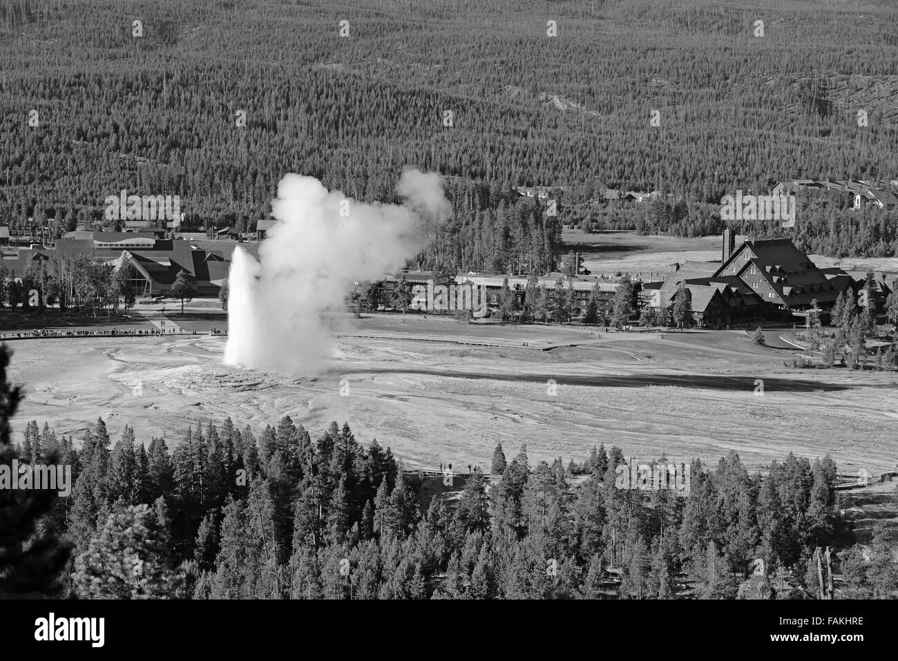 Geothermische Aktivität im Yellowstone-Nationalpark, Wyoming, USA Stockfoto