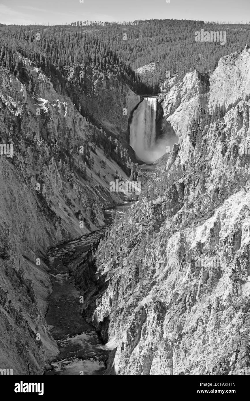 Yellowstone Falls, im Yellowstone-Nationalpark, Wyoming, USA Stockfoto
