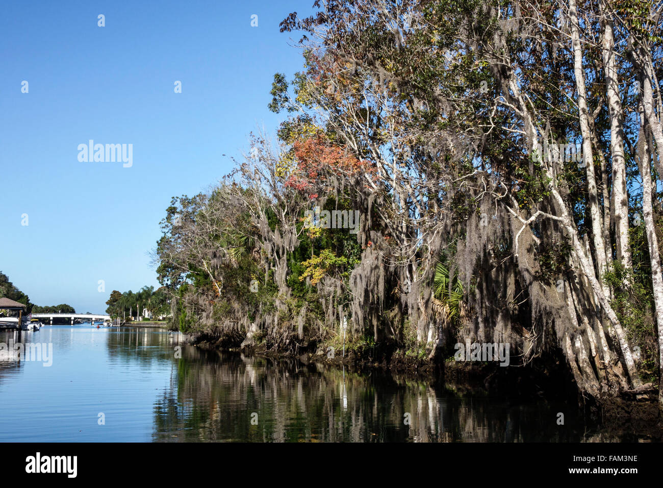 Florida Crystal River Water, Kings Bay Water, Crystal River Water National Wildlife Refuge, Wasser, natürliche Landschaft, Seekühe, Schutz, Schutz, Lebensraum, s Stockfoto