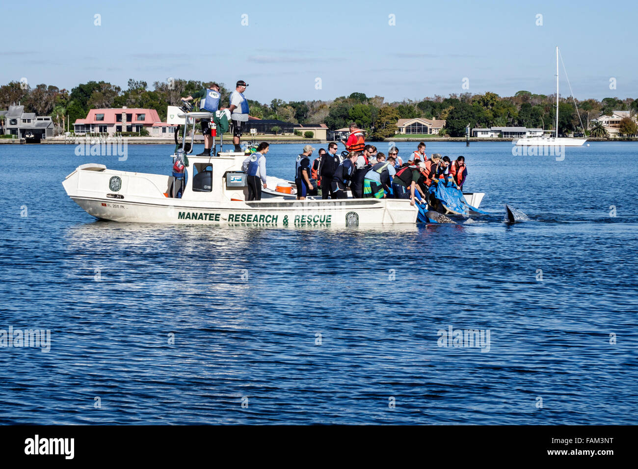 Florida Crystal River Water, Kings Bay Water, Crystal River Water National Wildlife Refuge, Wasser, Freiwillige Freiwillige Community Service Freiwilligenarbeit wor Stockfoto