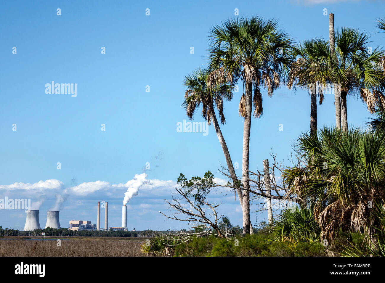 Florida Crystal River Water, Fort Island, Duke Energy Crystal River Water Kernkraftwerk, geschlossen, Kühltürme, stillgelegt, Kohlefeuer angetrieben onl Stockfoto