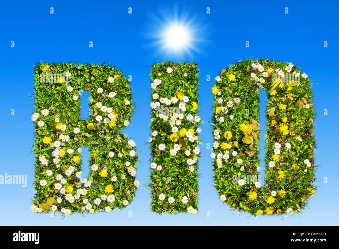 Text BIO mit Rasen und Blumen Textur Stockfoto