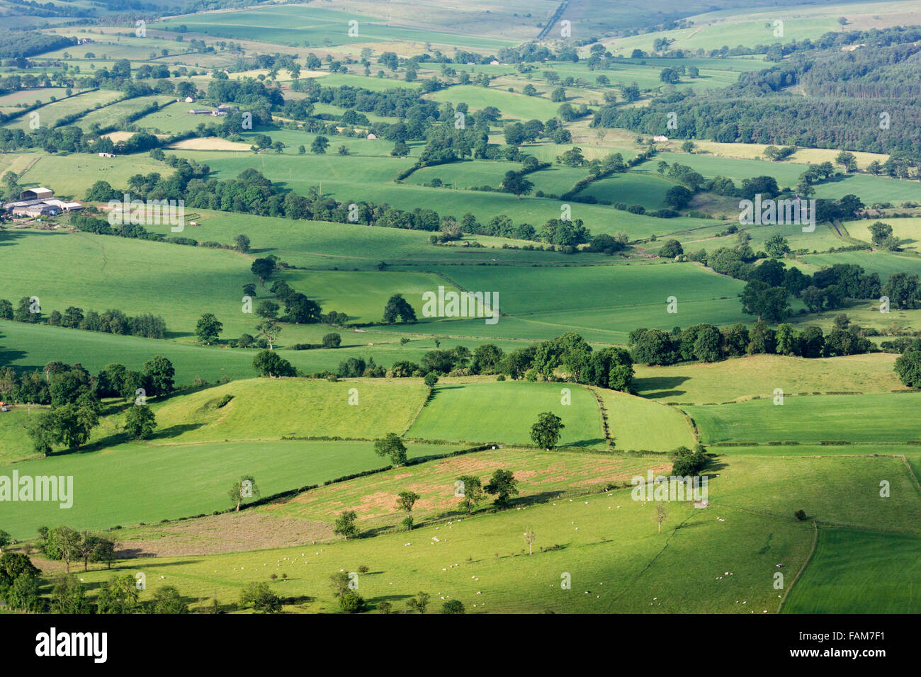 Landschaft in der Eden Valley, Cumbria, Ackerland und Wald aus der Luft zeigen. Stockfoto