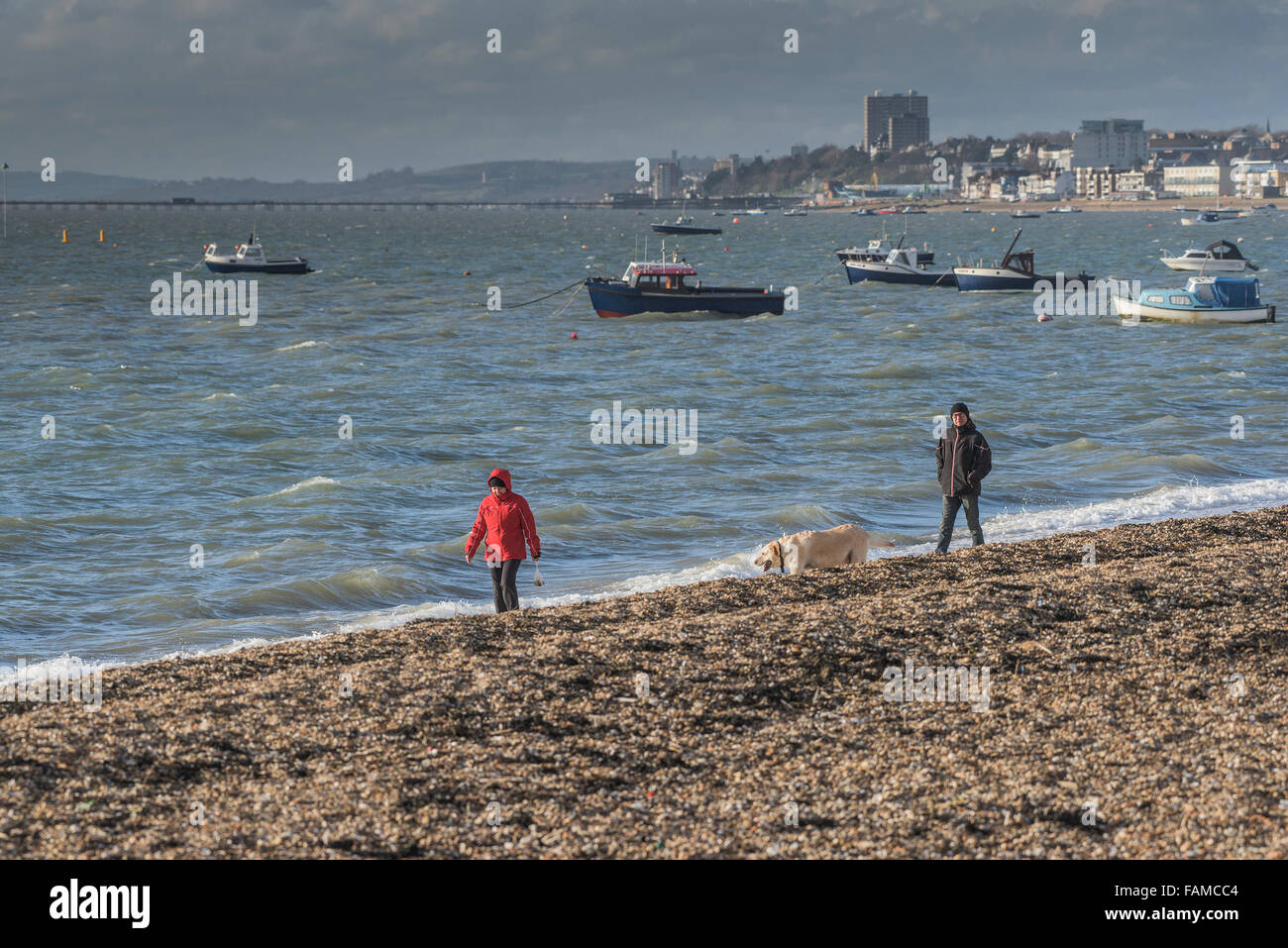 Ein paar Gehminuten Ihren Hund am Strand entlang an Thorpe Bay in Southend On Sea, Essex, Großbritannien. Stockfoto