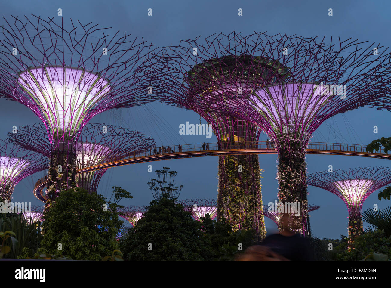 Skyway zwischen bunt beleuchtet Super Bäume, Gärten von Bay, Singapur