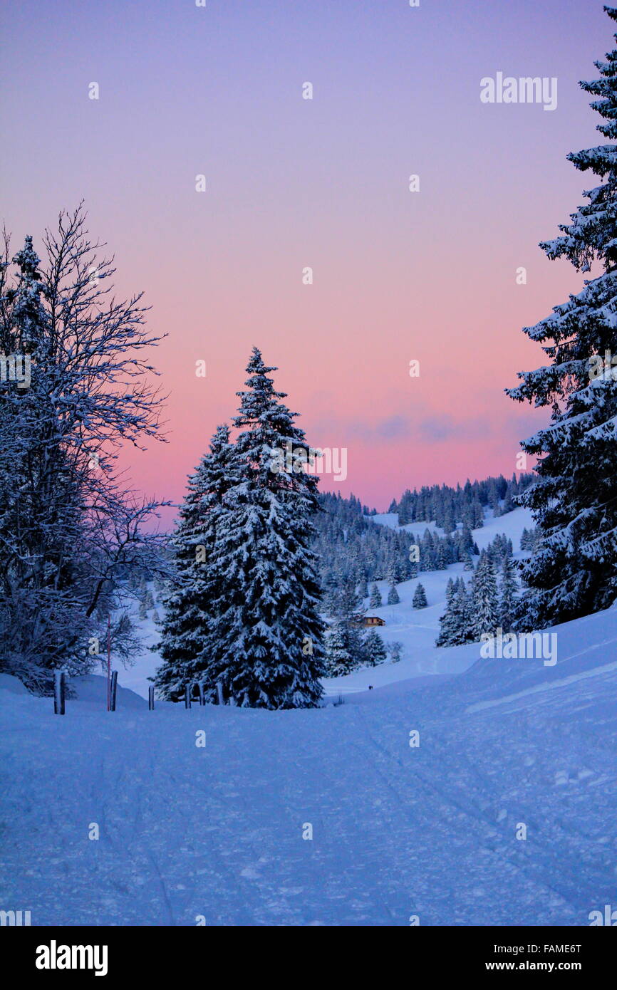 Herrliche Landschaft ein Winterabend Stockfoto