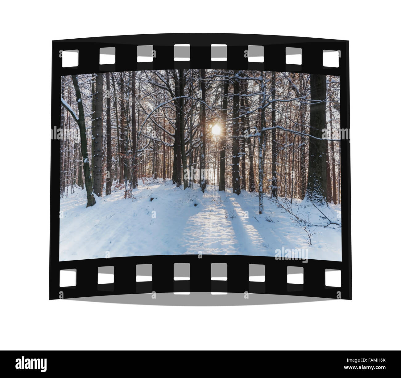 Wald im Winter, in der sächsischen Schweiz, Elbsandsteingebirge, Sachsen, Deutschland, Europa Stockfoto