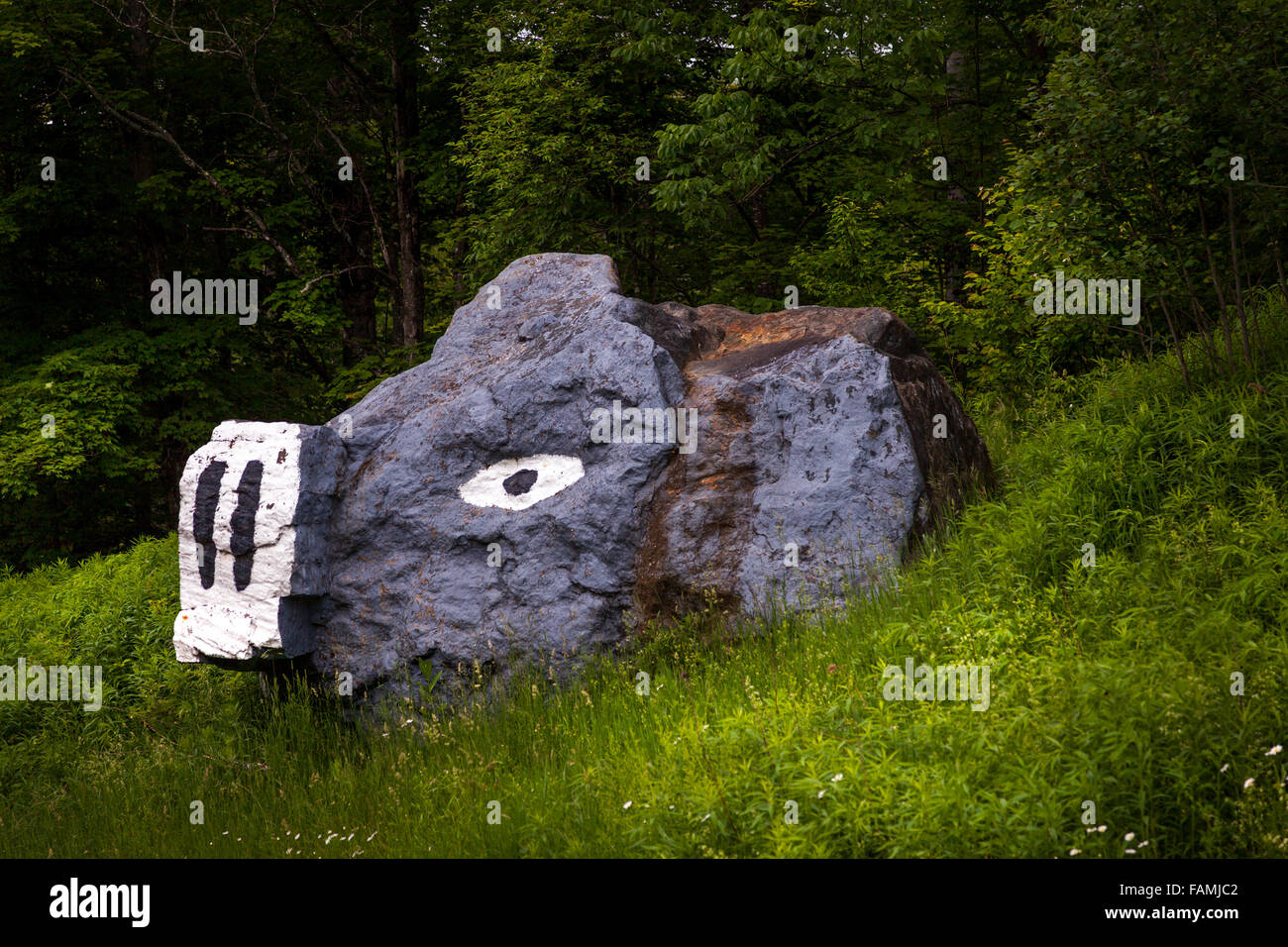 Rock-Painted wie ein Schwein. Upstate New York Stockfoto