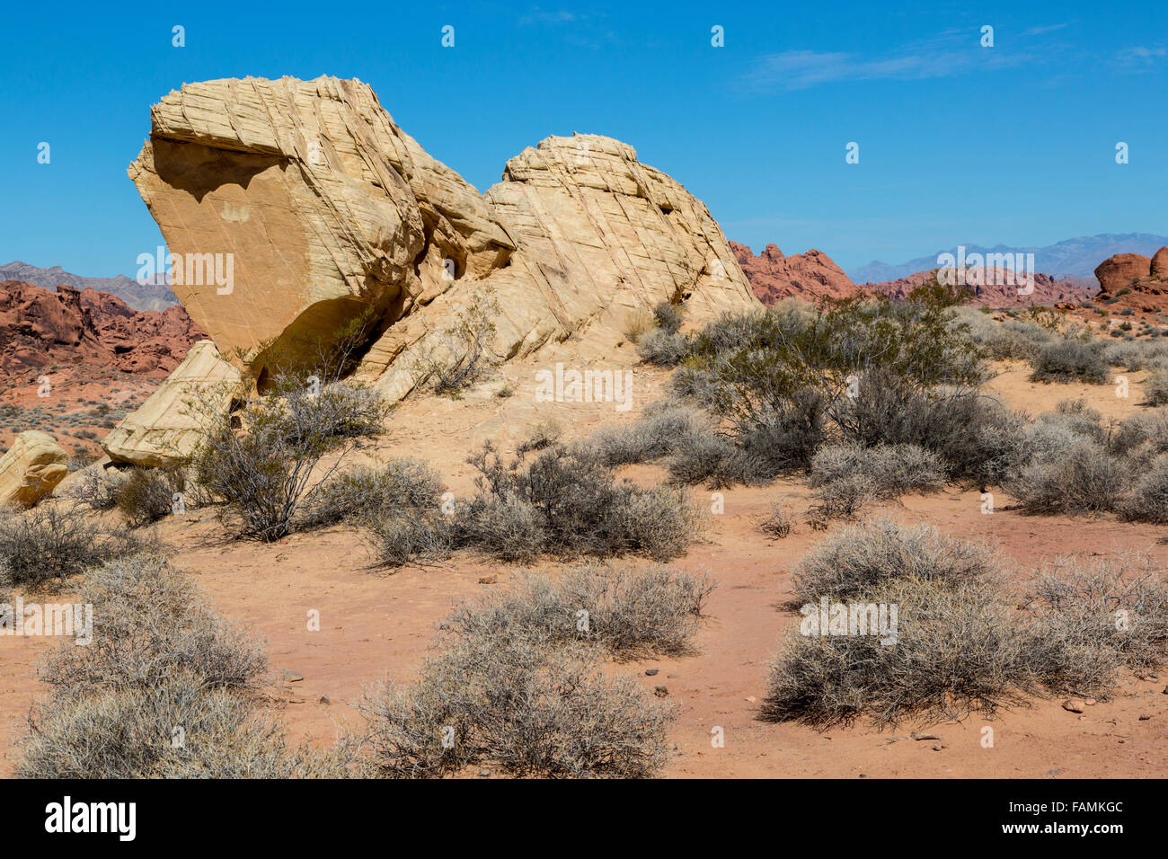 Valley of Fire, Nevada.  Geologische Kräfte; Stein zerbrechen.  Weißen Kuppeln Trail. Stockfoto