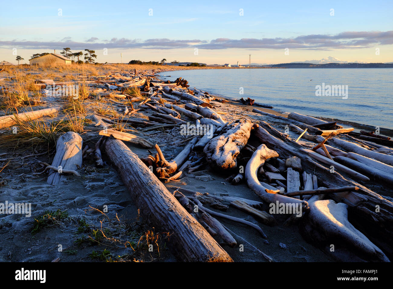 Treibholz am Strand bei Sonnenaufgang mit Wilson Leuchtturm und Mount Baker in Ferne Fort Worden State Park, Port Townsend, W Stockfoto