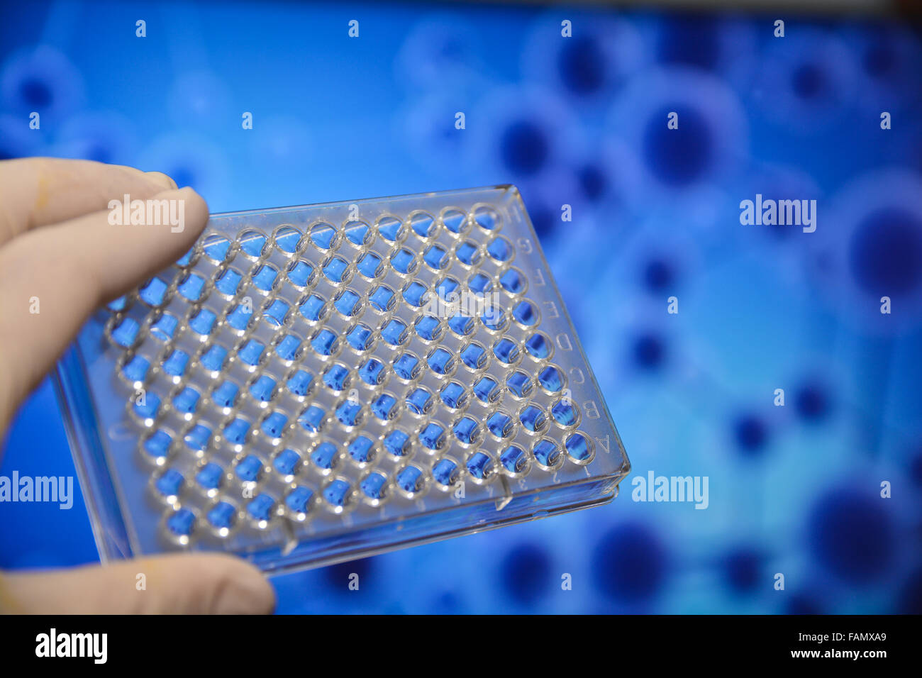 Die DNA-Tests. Foto-well-Platten auf einen wissenschaftlichen Hintergrund. Stockfoto