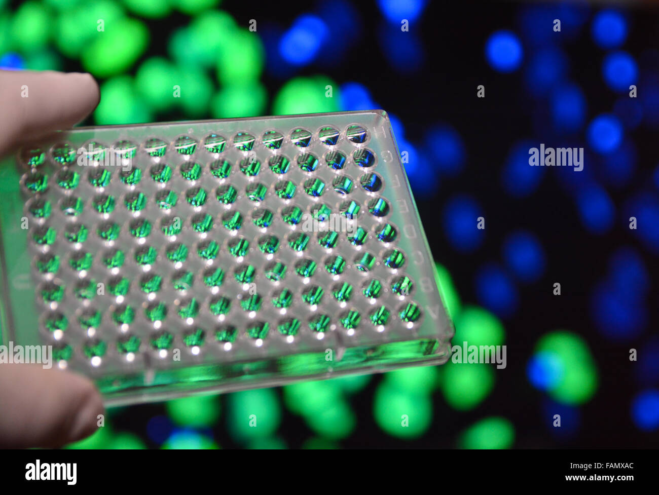Die DNA-Tests. Foto-well-Platten auf einen wissenschaftlichen Hintergrund. Stockfoto