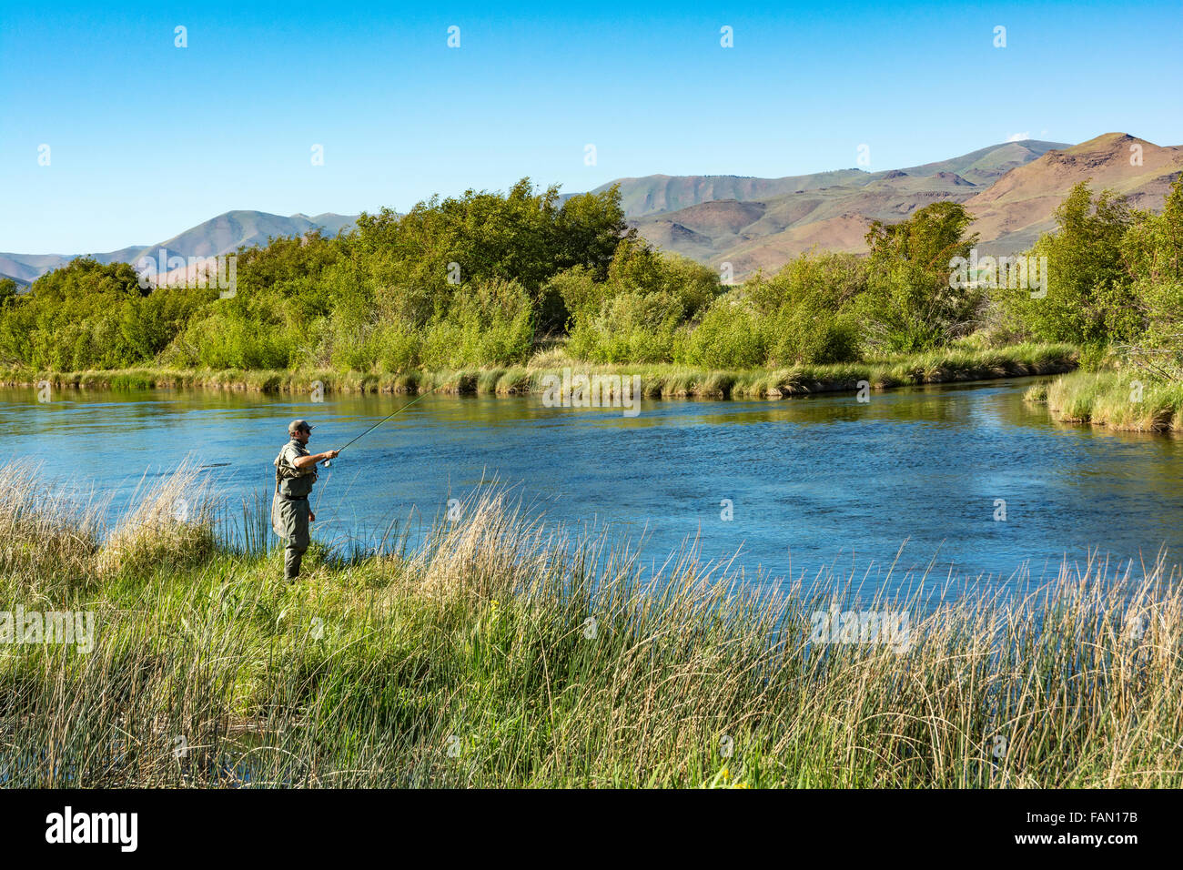 Idaho, Bellevue, Silver Creek Preserve, fly Fisherman Forellenangeln Stockfoto