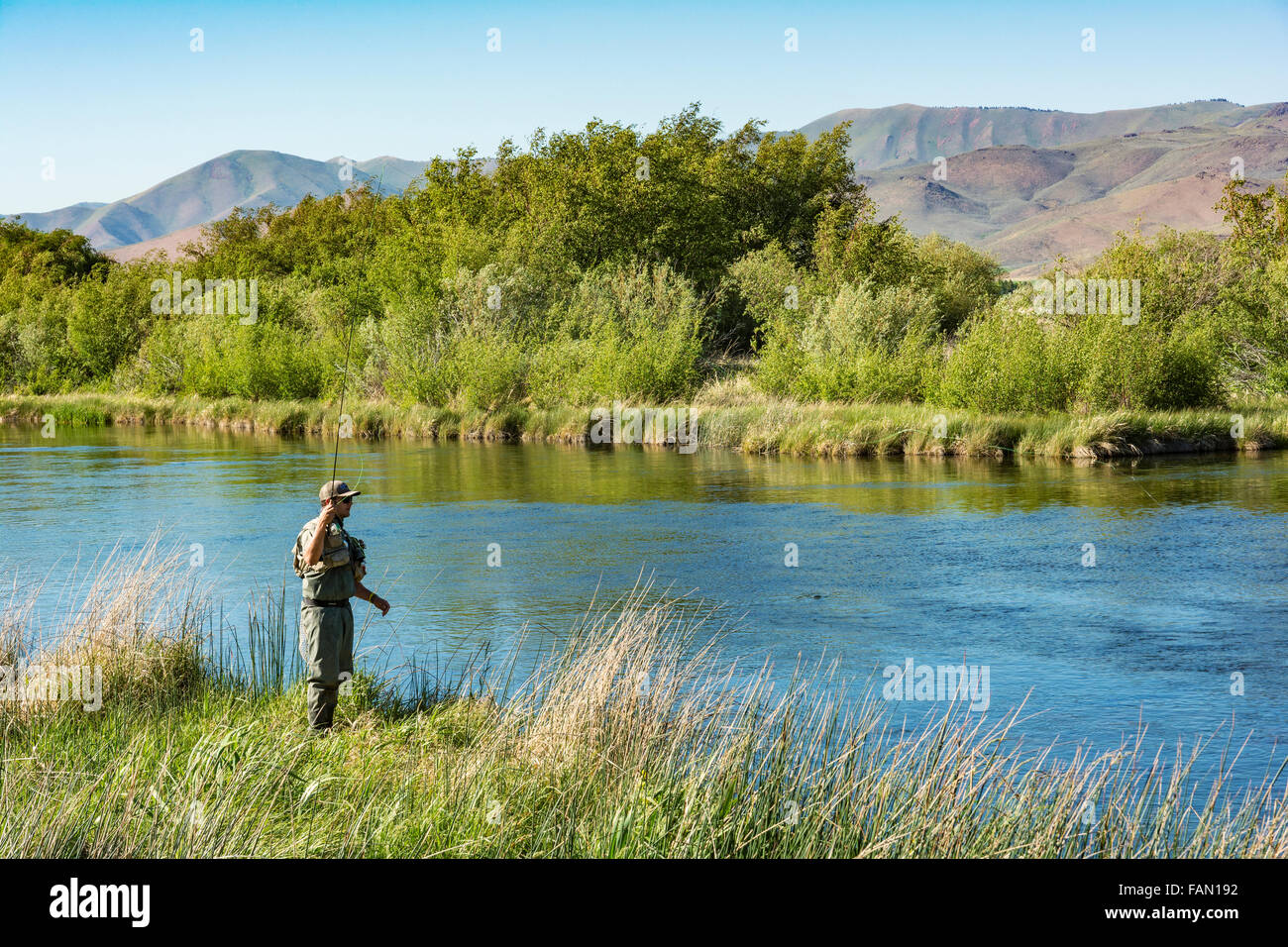 Idaho, Bellevue, Silver Creek Preserve, fly Fisherman Forellenangeln Stockfoto