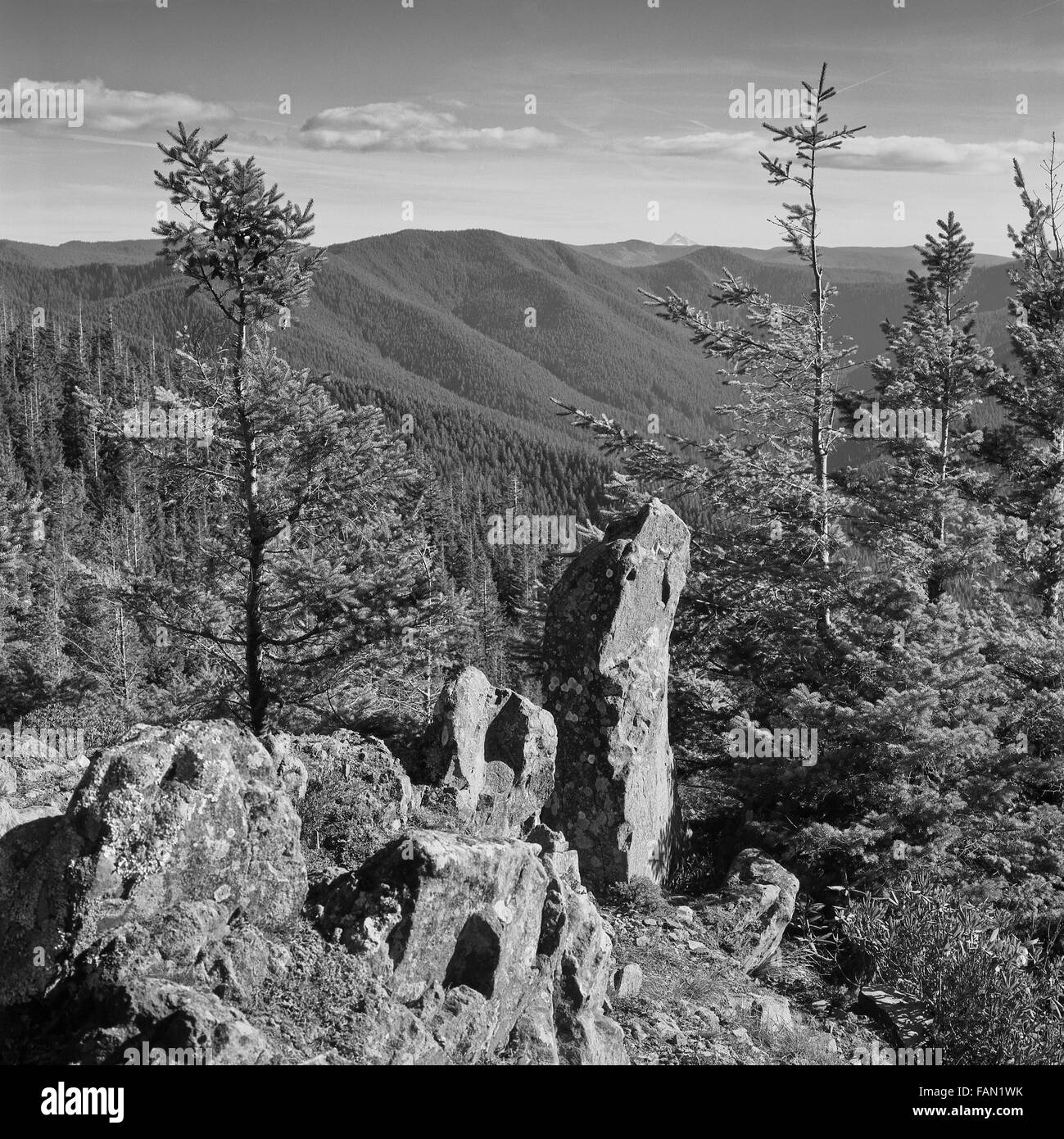 Steingarten, Cascade Mountain Range Stockfoto