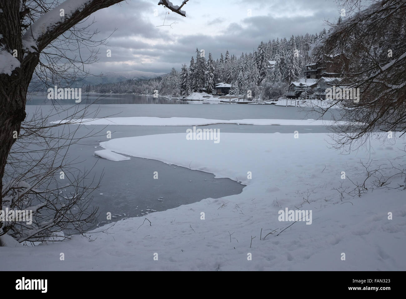Winterliche Szene Hayden Lake, Idaho.  Verschneite Bäume und Ufer. Stockfoto