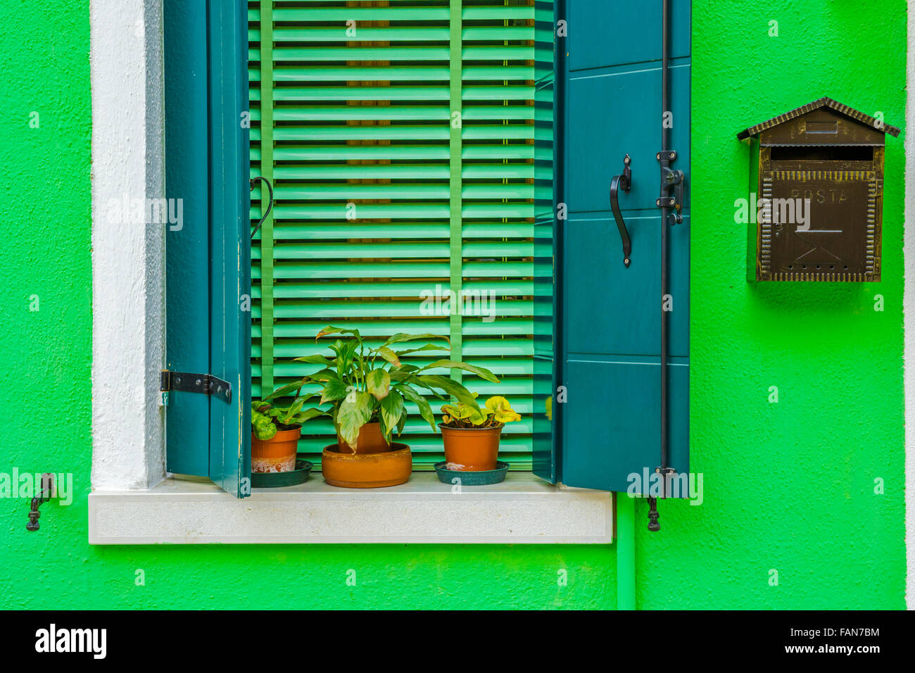 Fenster und Fensterläden mit Blumentopf, Insel Burano aus Venedig Stockfoto