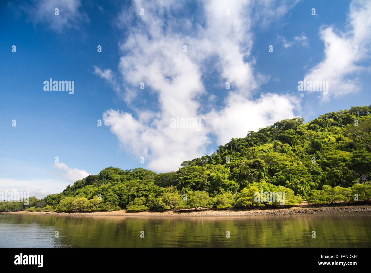 Straßen in Costa Rica Wasser Fluss Costa Rica Nebelwald, Regenwald grüne grüne Hölle schön ergreifend schützenswert Stockfoto